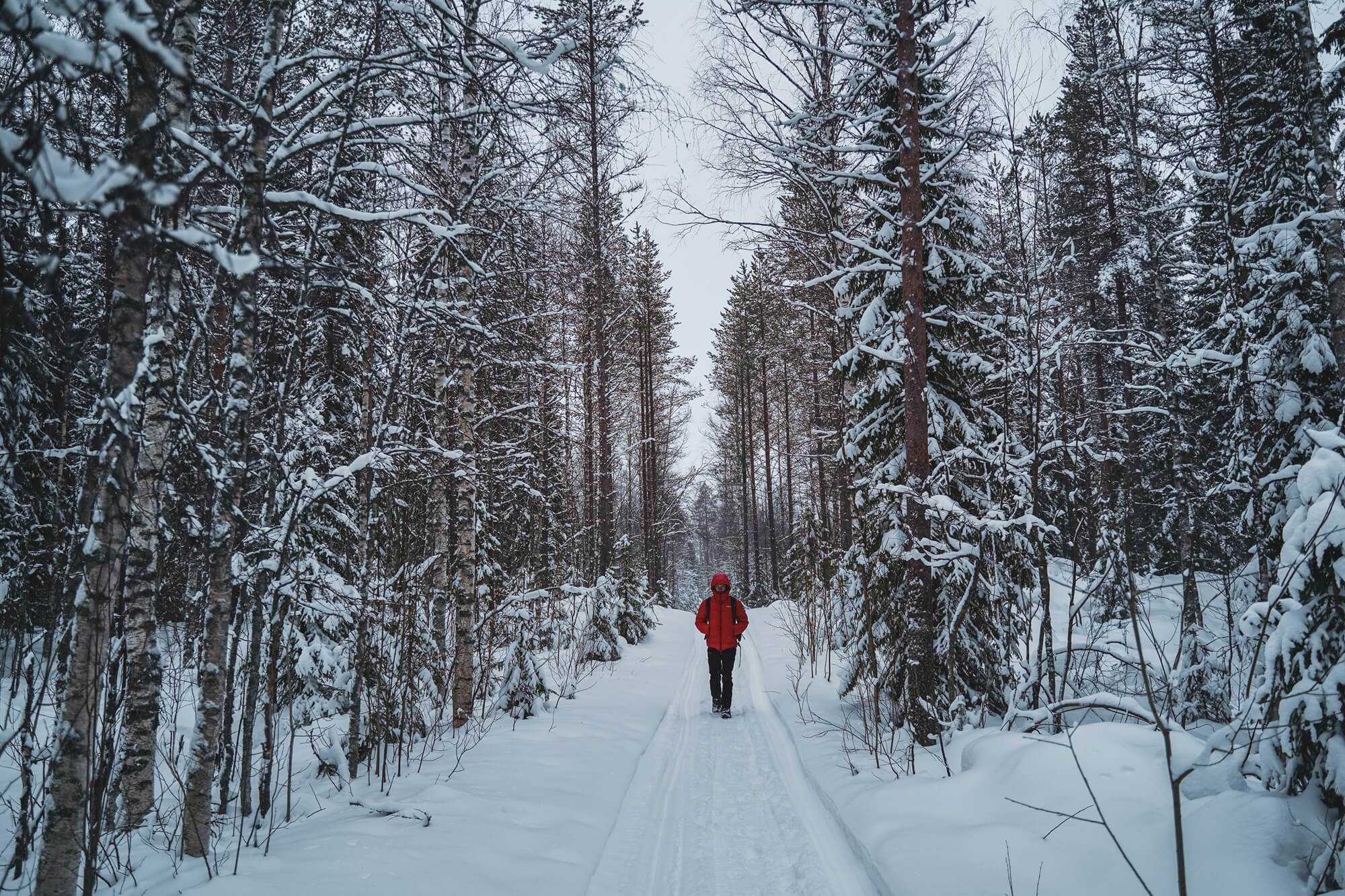 Comment s’équiper pour un voyage en Laponie : Le guide ultime du Grand Froid