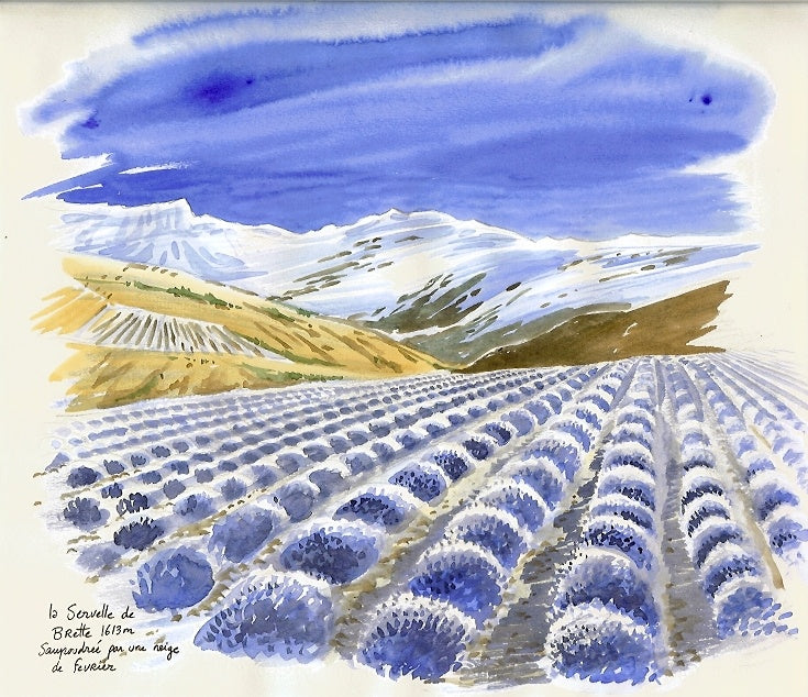 Randonnée-vélo, illustrée, dans la Drôme Provençale