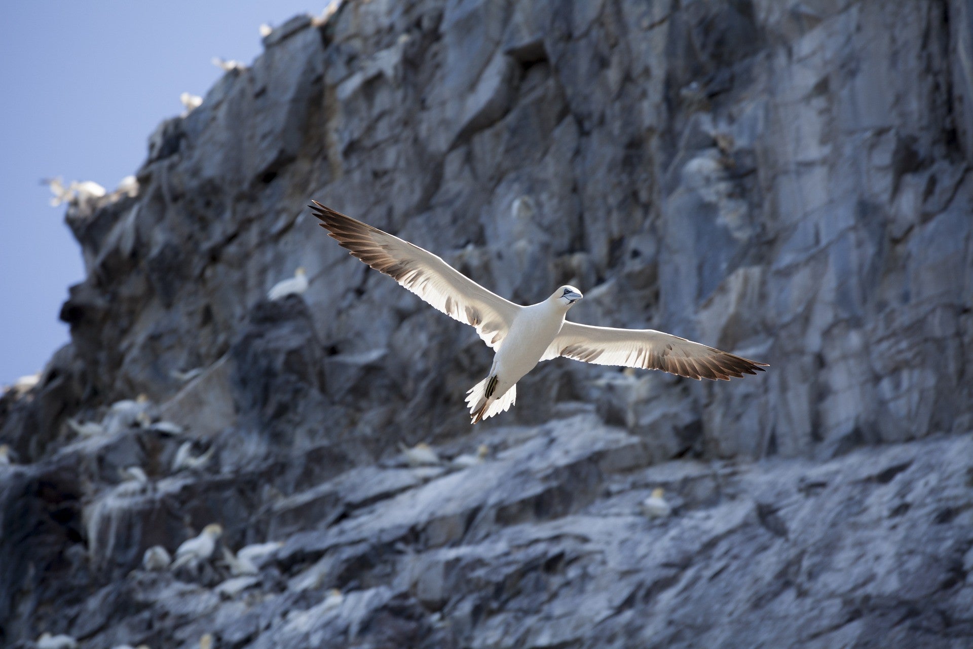 Randonnées avec observation des oiseaux : 6 sites à découvrir