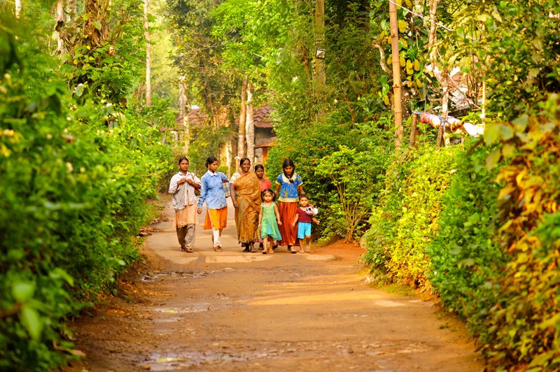 5 idées de treks en Inde du Sud : magie d'un pays unique !