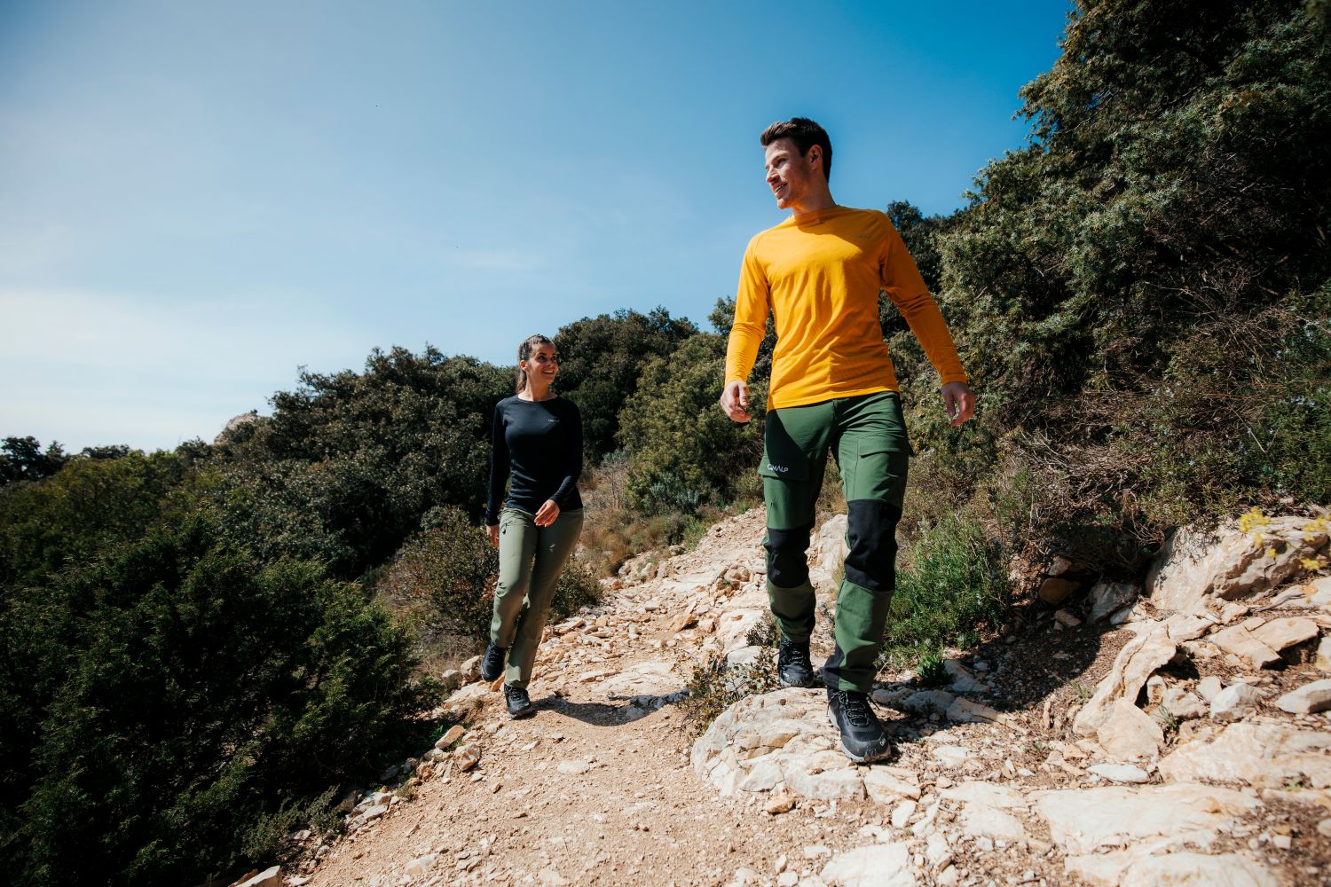 Laine mérinos : qu’est-ce que c’est et pourquoi la choisir 