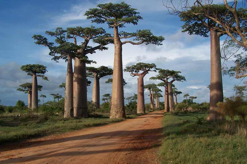 6 idées de treks à Madagascar