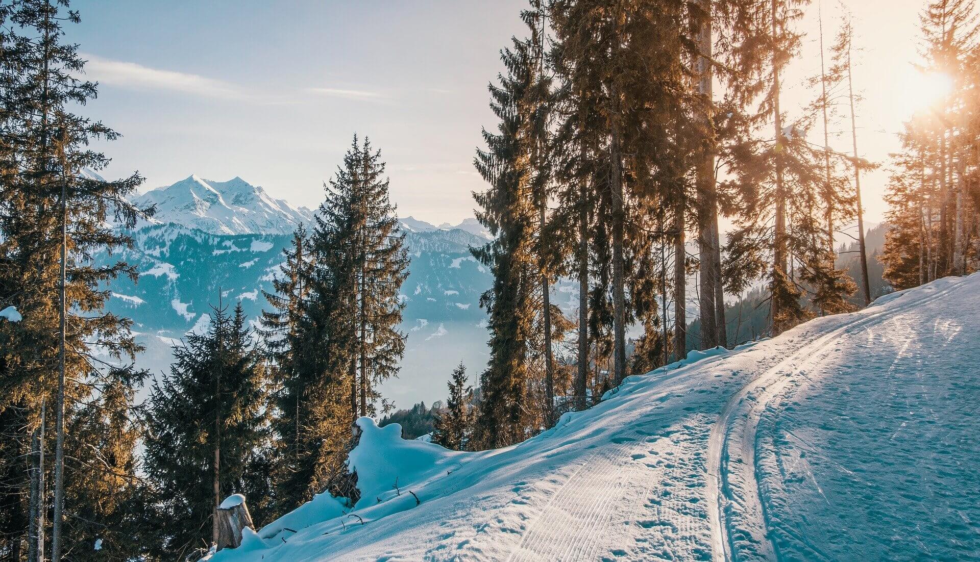 Faire du ski de fond dans les Alpes – Notre sélection des stations