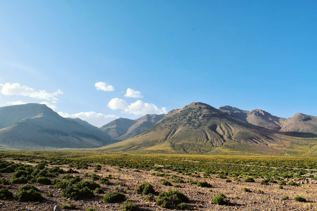 Prairie verte et montagnes de l'Atlas marocain sous ciel bleu