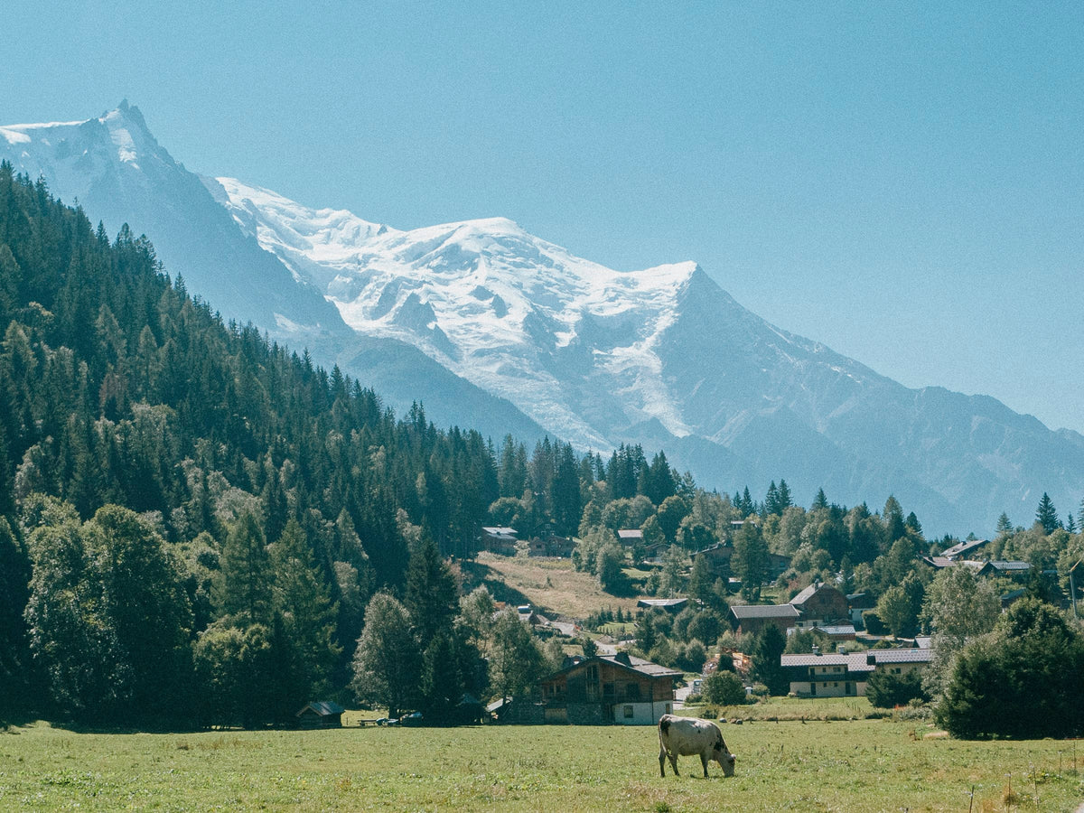Hameau de montagne dans la vallée face au massif du Mont-Blanc