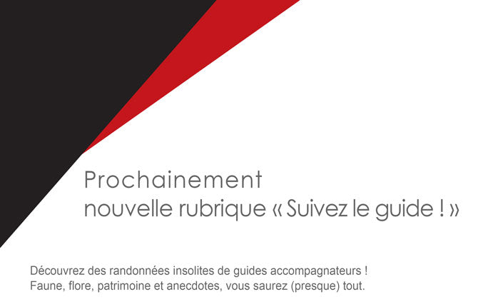 Nouvelle rubrique : suivez le guide !