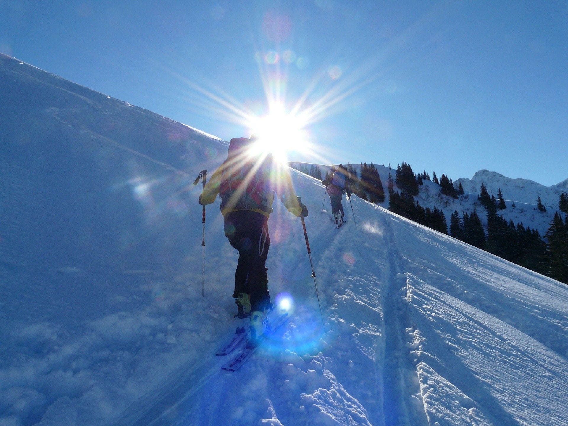 Peaux de phoque de ski de randonnée : conseils et astuces