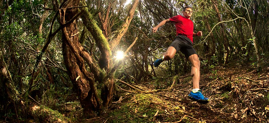 Specific sessions for a trail training plan