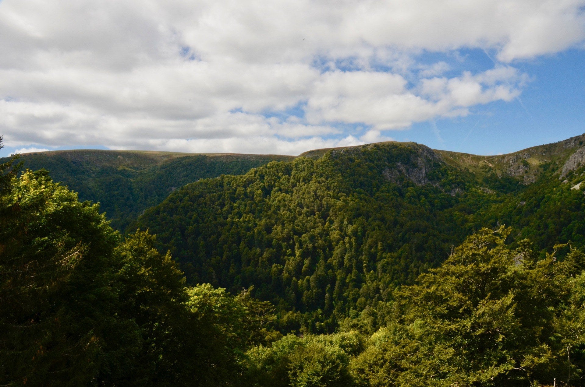 Randonnée dans les Vosges : les meilleurs parcours