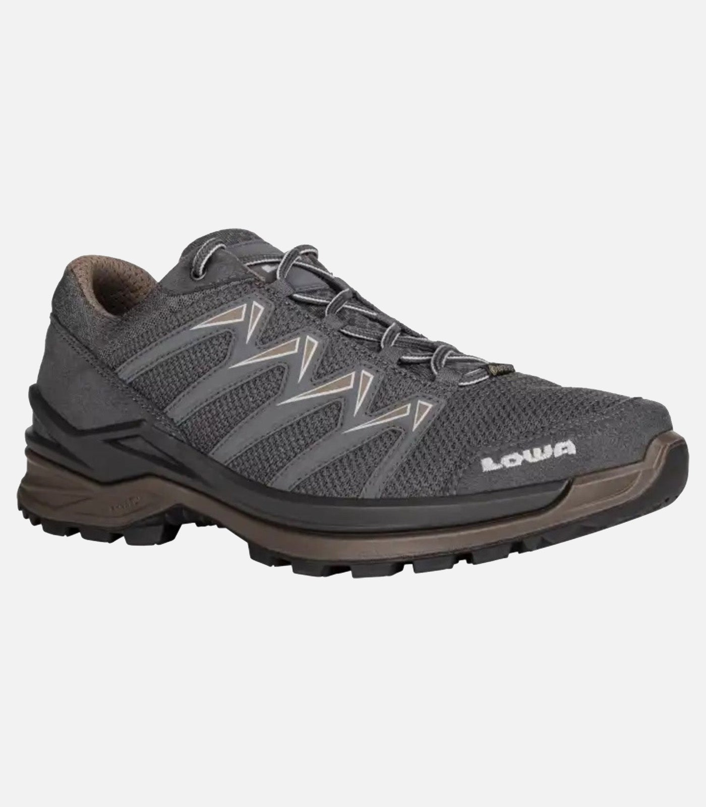 Men INNOX PRO GTX LO