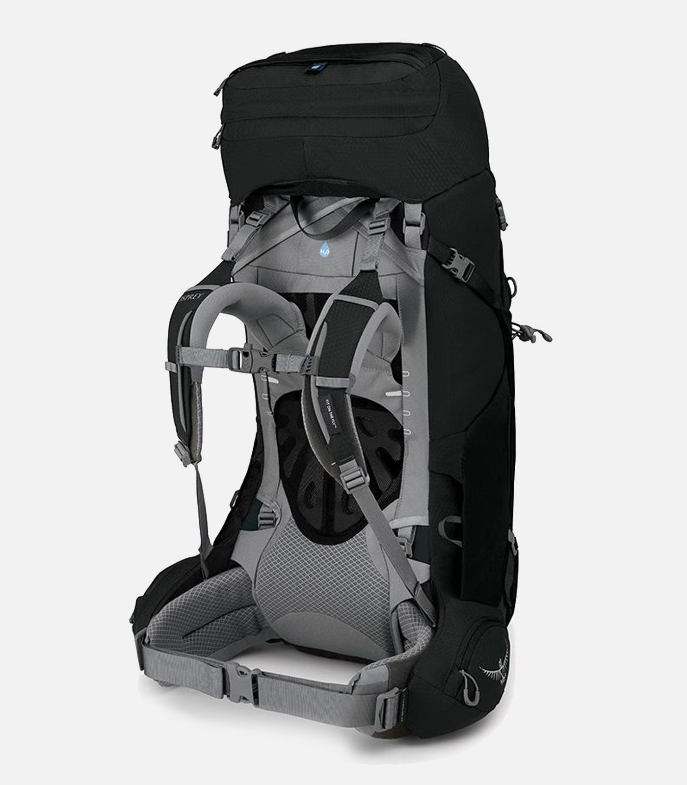 Damen ARIEL 55