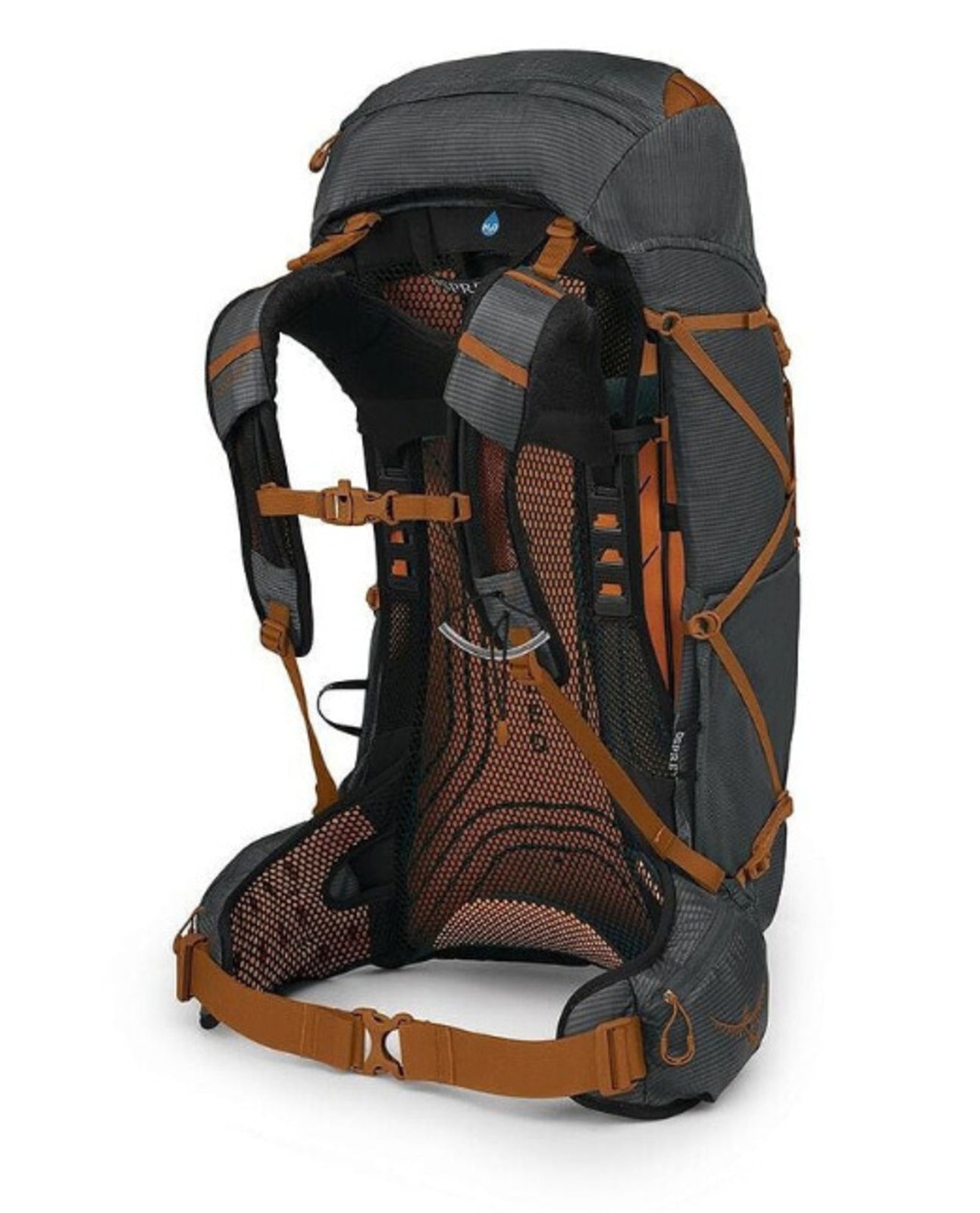 Men's hiking backpacks Men EXOS 38