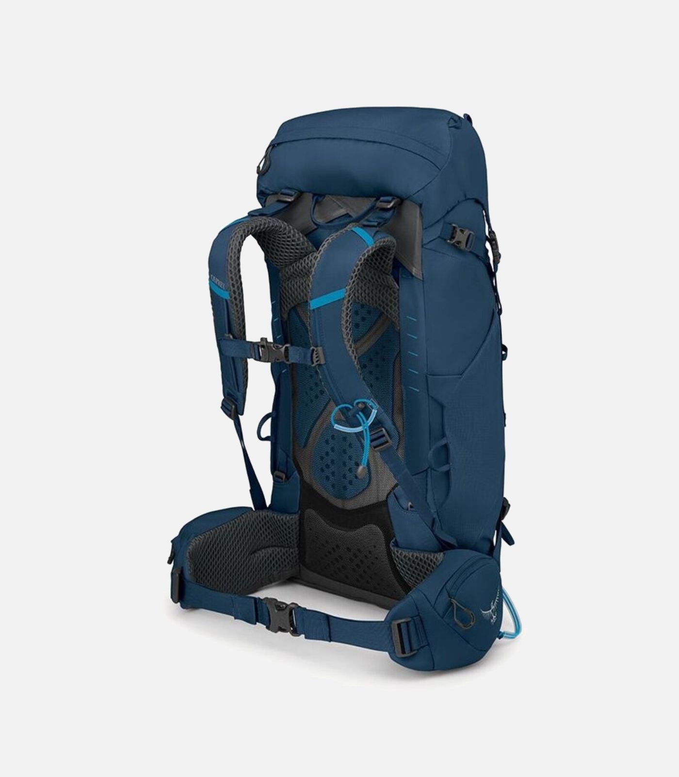 Herren KESTREL 38