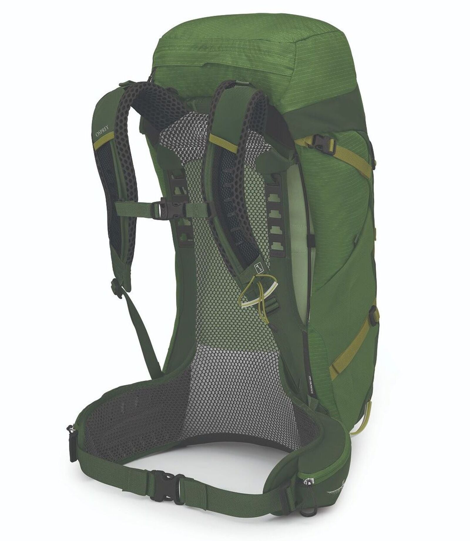 Men STRATOS 44