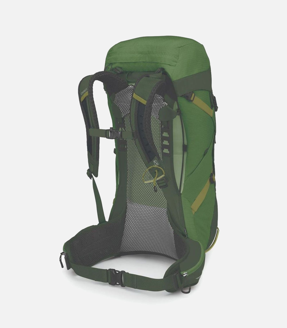 Hiking backpacks Men STRATOS 36