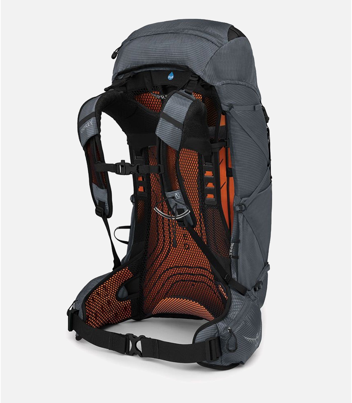 Men's hiking backpacks Men EXOS 38