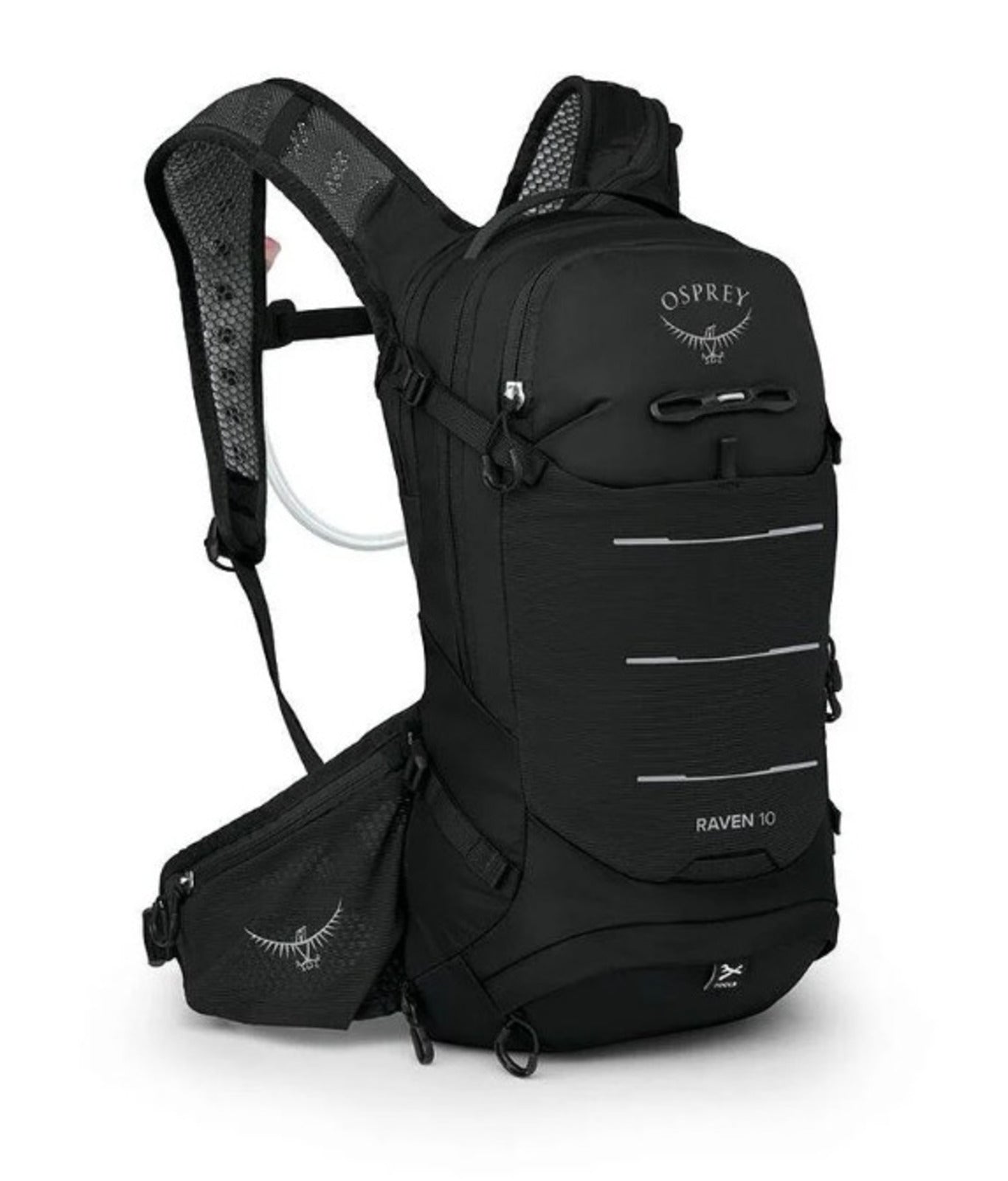 RAVEN 10
