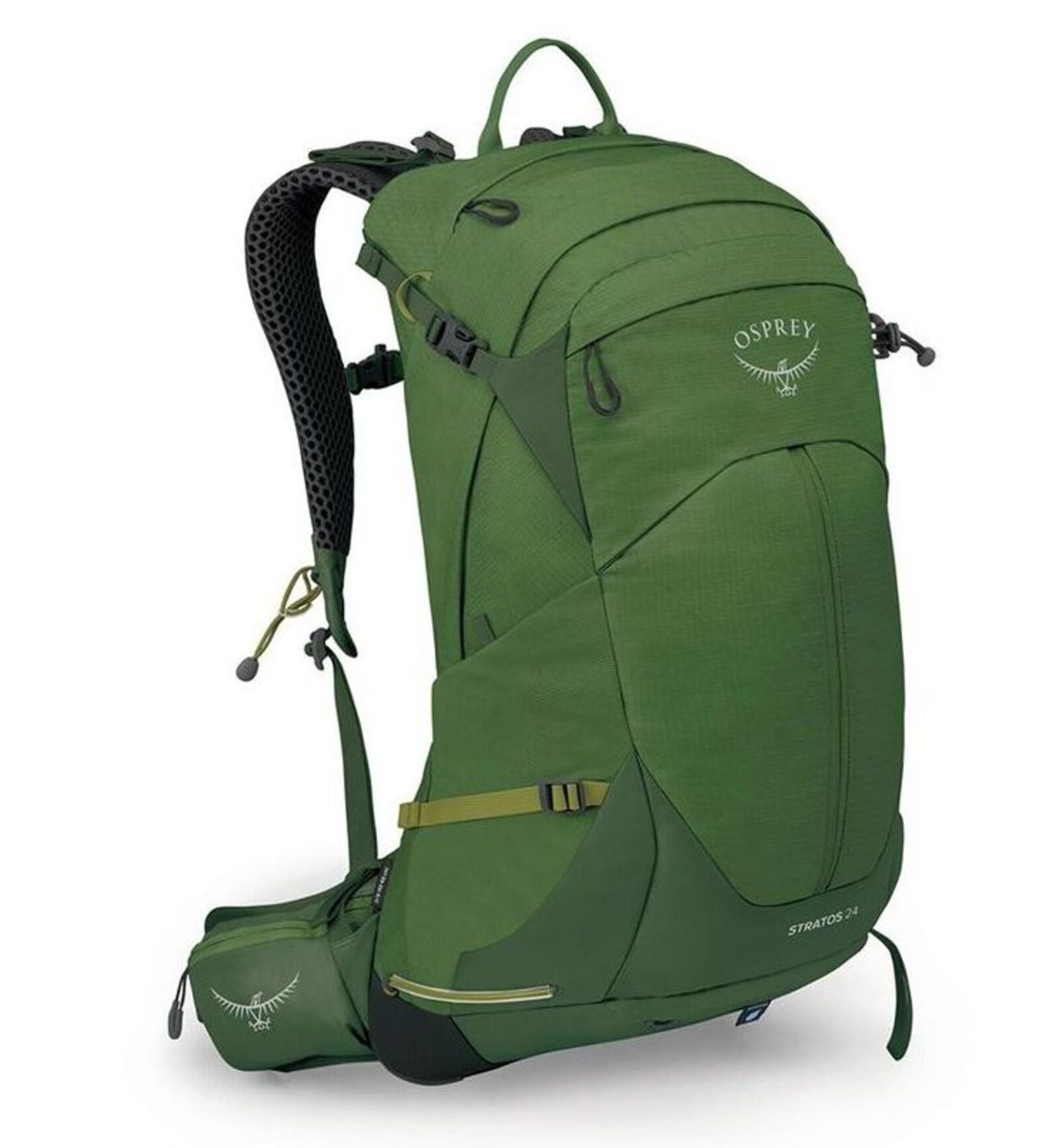 Herren STRATOS 24