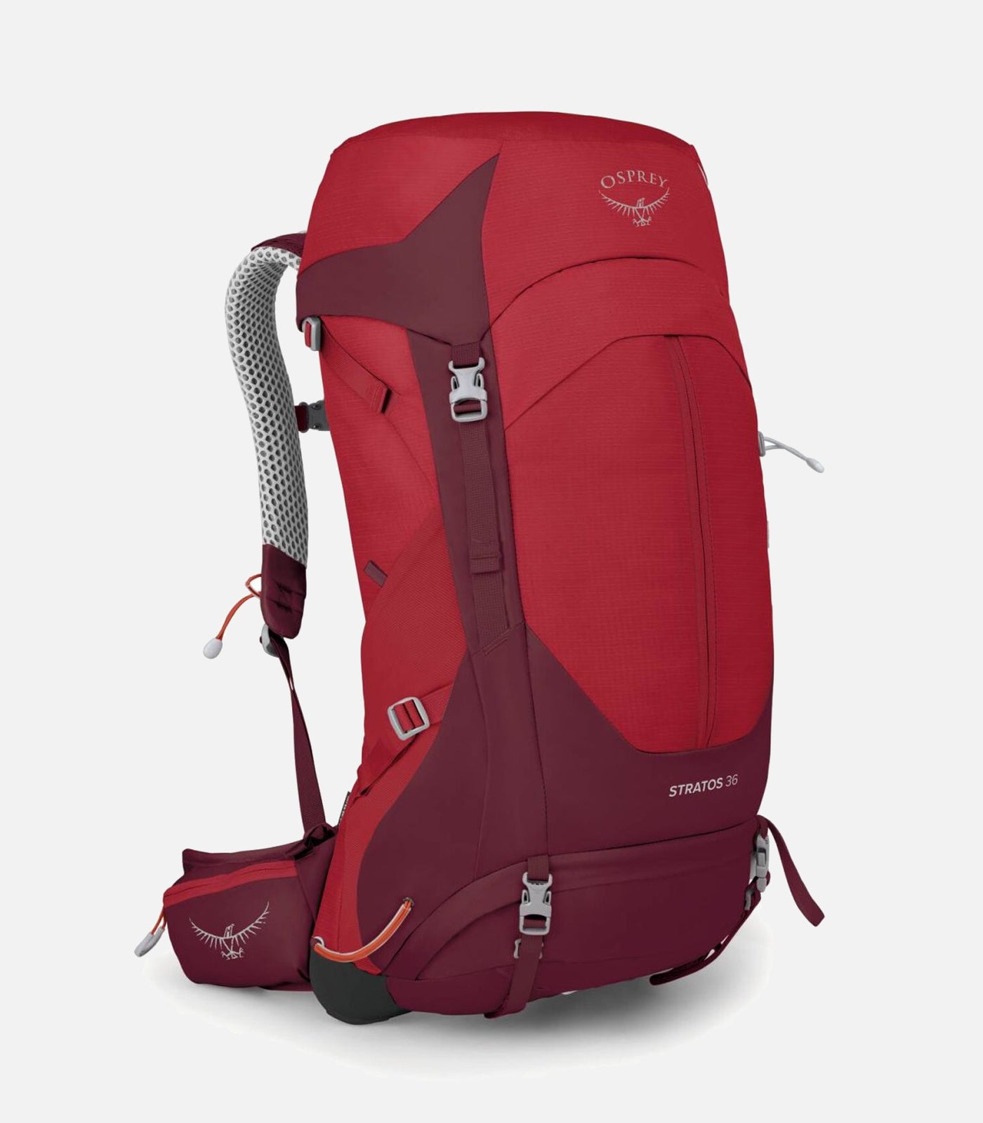 Zaini da Trekking uomo Uomo STRATOS 36