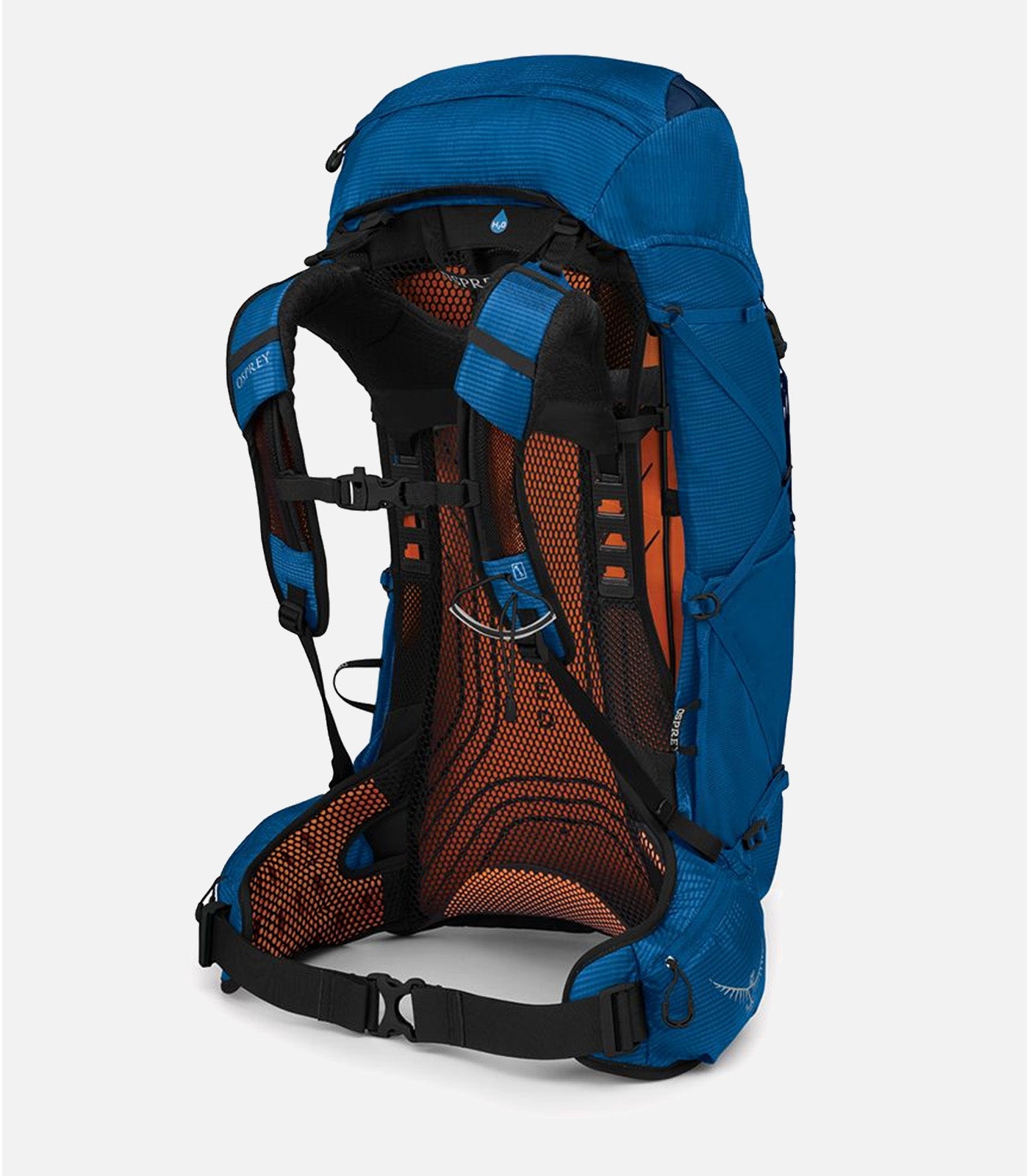Men's hiking backpacks Men EXOS 38