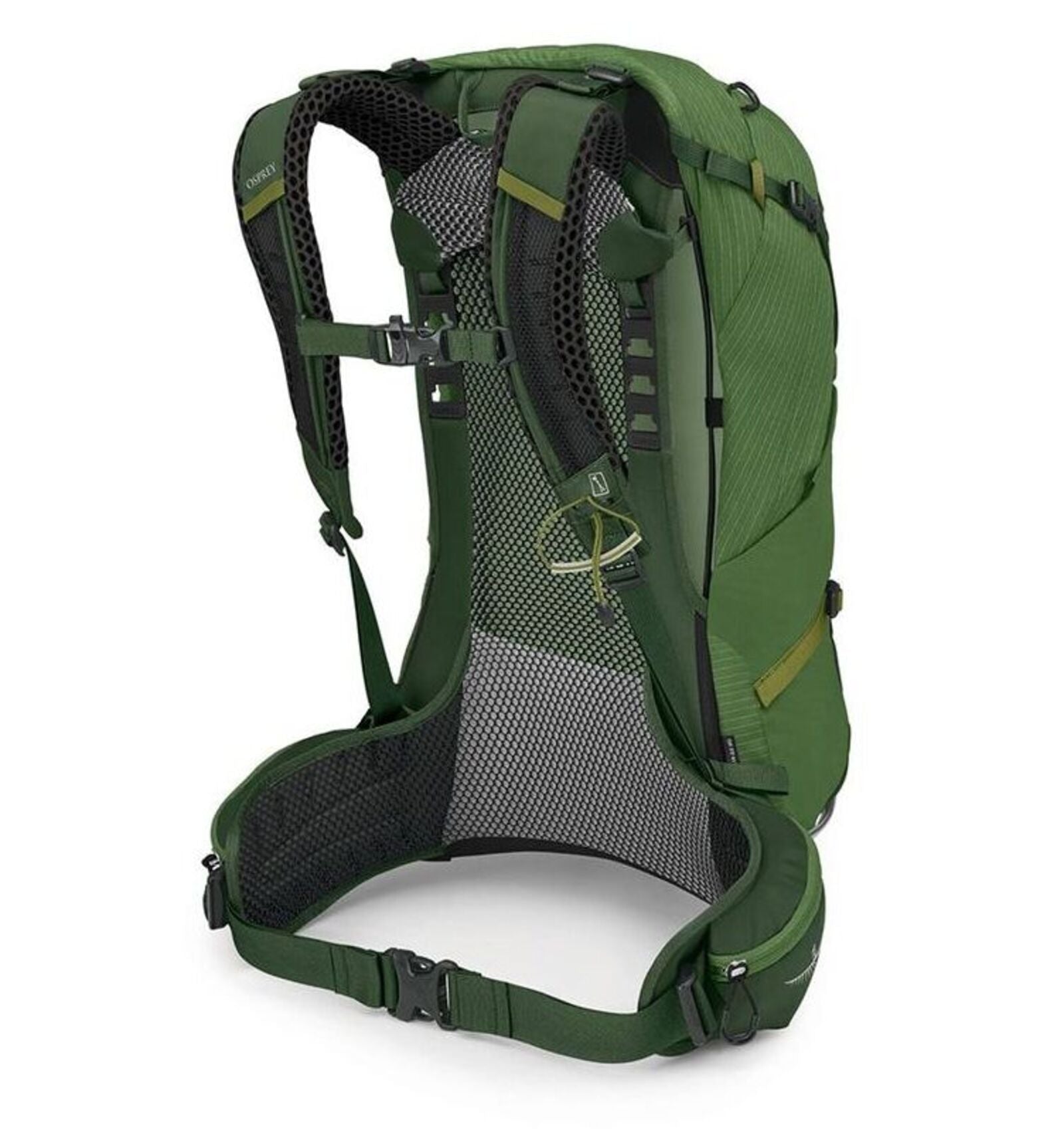 Herren STRATOS 24