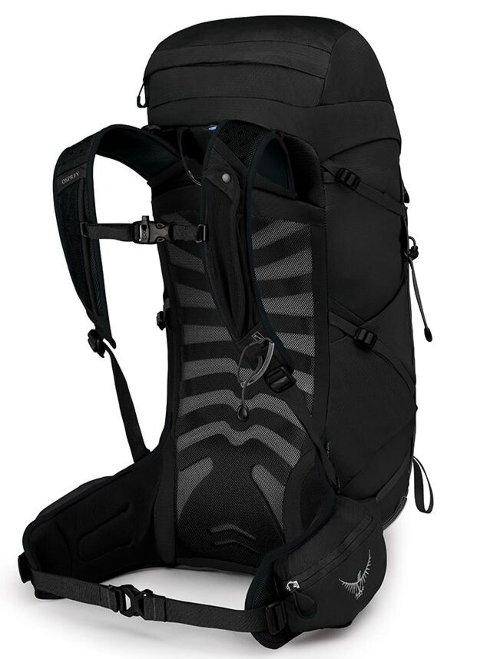 Homme TALON 33