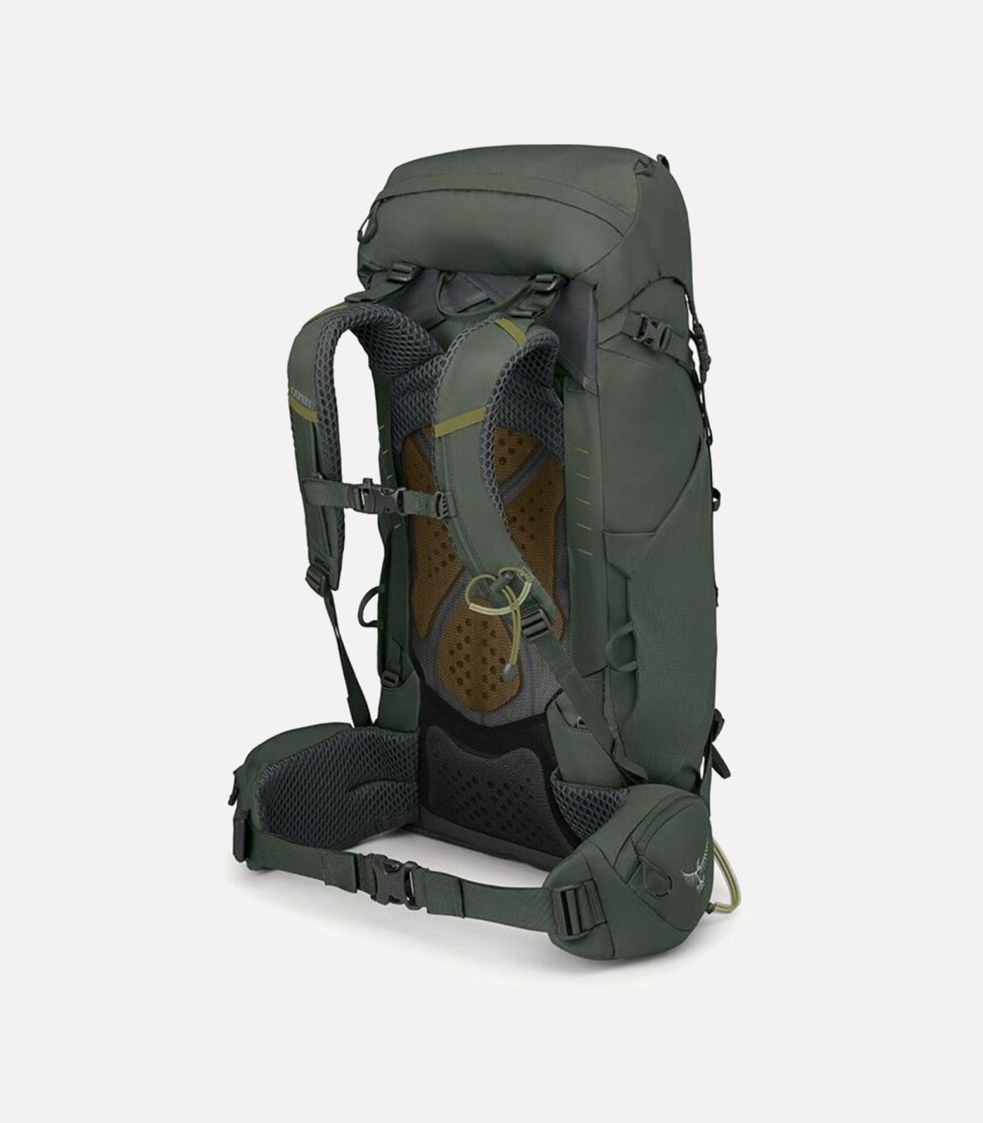 Herren KESTREL 38
