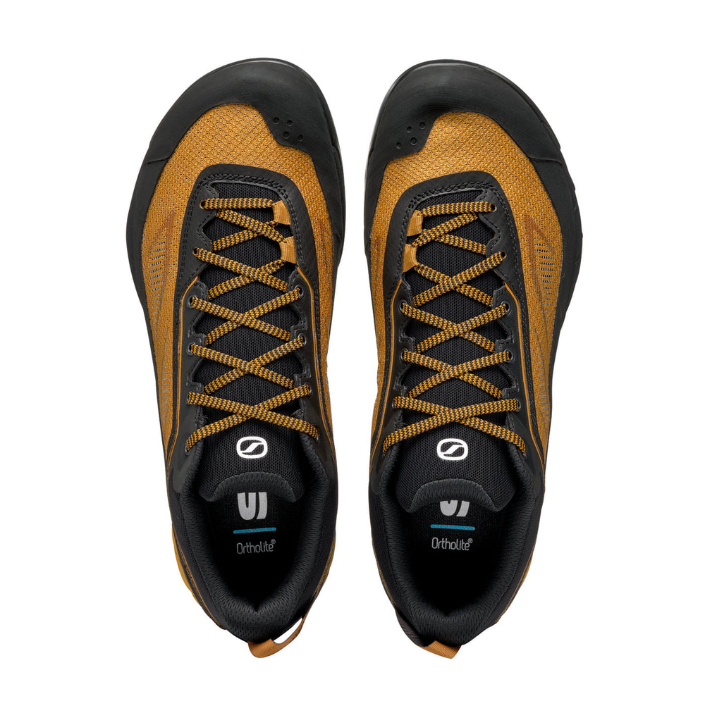 Herren-Wanderschuhe Herren RAPID LT