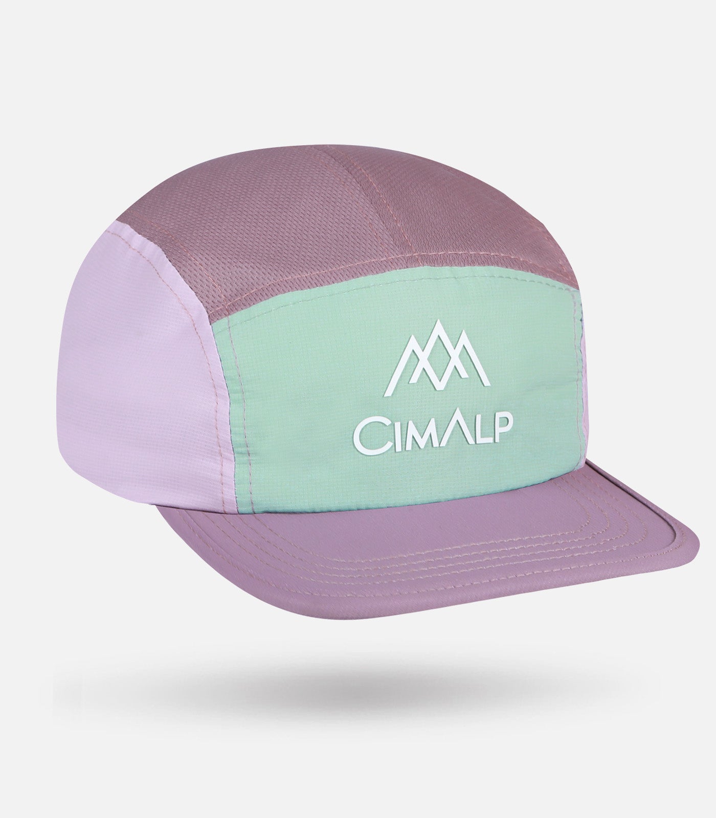 5 PANEL CAP MARKET